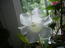 P1150271