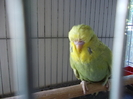 Picture 010