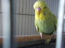 Picture 011