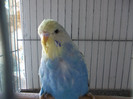 Copy of Picture 002