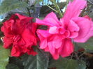 P29-06-12_09.38[1]