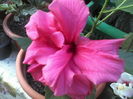 P29-06-12_09.39[1]