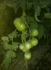 27062012700