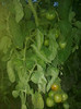 27062012702