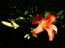 DSCN9080