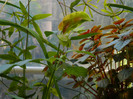 DSCN9083