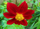 DSCN9121