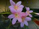 DSCN9130