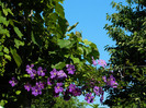 DSCN9143