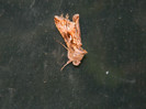 DSCN9151