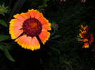 DSCN9173