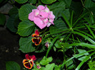 DSCN9191