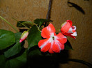 DSCN9196