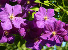 DSCN9202