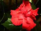 DSCN9212
