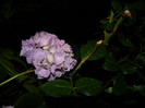 DSCN9243