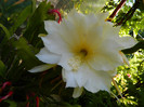 DSCN9256