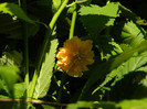 DSCN9261