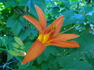 DSCN9264