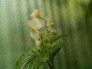 DSCN9268