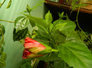 DSCN9269