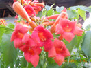 DSCN1534