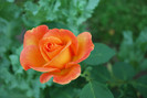 019