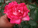 SANY0064