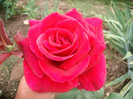 SANY0070