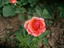 SANY0080