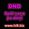 dnd spal vaca pe dinti