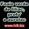 Foaie verde liliac profu e aurolac