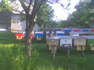 Imag054