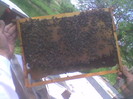 Imag076