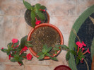 DSCN2969