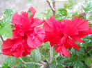DSCN2981