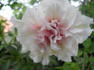 DSCN2982