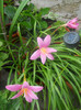 DSCN2985
