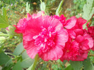 DSCN2993