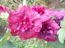 DSCN2994