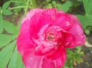 DSCN3001