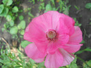 DSCN3004