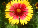 DSCN3005
