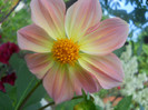 DSCN3010