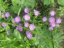 DSCN3013