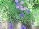 DSCN3014