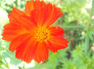 DSCN3022