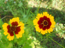 DSCN3027
