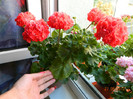 DSCN0746