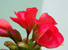 DSCN0740